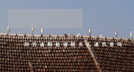 网贷逾期能爆联系人通讯录吗 网贷逾期能爆联系人通讯录吗