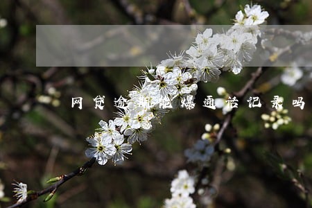 网贷逾期能爆通话记录吗 网贷逾期能爆通话记录吗