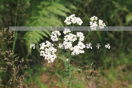 网贷逾期能生孩子吗 网贷逾期能生孩子吗