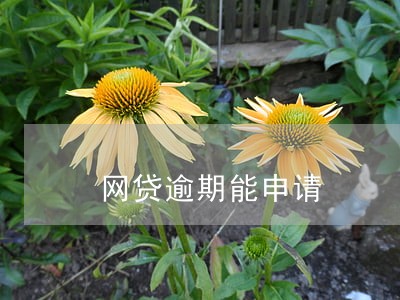 网贷逾期能申请 网贷逾期能申请