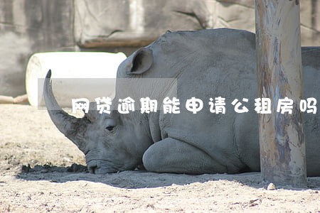 网贷逾期能申请公租房吗 网贷逾期能申请公租房吗