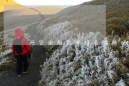 网贷逾期能申请公租房吗在重庆 网贷逾期能申请公租房吗在重庆