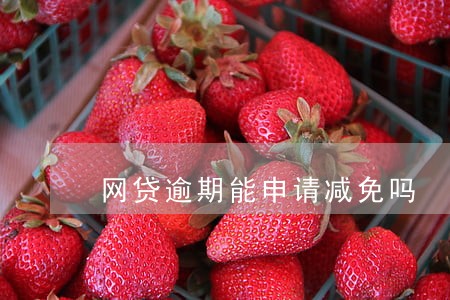 网贷逾期能申请减免吗