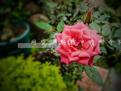 网贷逾期能申请哪个信用卡 网贷逾期能申请哪个信用卡