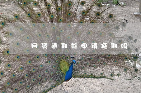 网贷逾期能申请延期吗 网贷逾期能申请延期吗