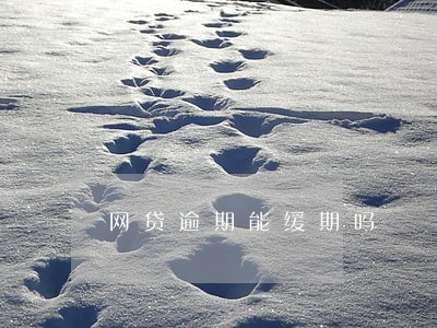 网贷逾期能缓期吗
