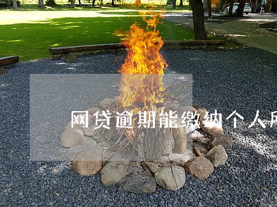 网贷逾期能缴纳个人所得税吗 网贷逾期能缴纳个人所得税吗