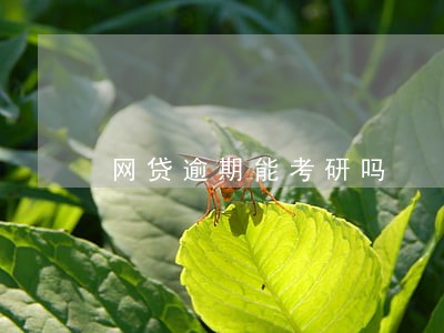 网贷逾期能考研吗 网贷逾期能考研吗