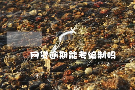 网贷逾期能考编制吗 网贷逾期能考编制吗
