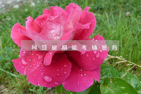 网贷逾期能考辅警吗 网贷逾期能考辅警吗