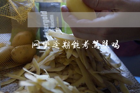 网贷逾期能考驾照吗 网贷逾期能考驾照吗