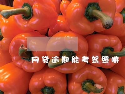 网贷逾期能考驾照嘛 网贷逾期能考驾照嘛