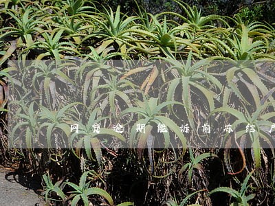网贷逾期能诉前冻结户头存款吗 网贷逾期能诉前冻结户头存款吗