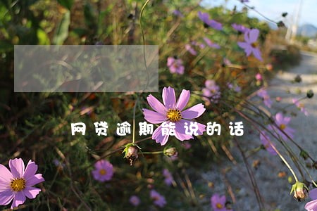 网贷逾期能说的话 网贷逾期能说的话