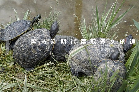 网贷逾期能读取多久的通信录 网贷逾期能读取多久的通信录