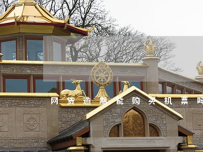 网贷逾期能购买机票吗
