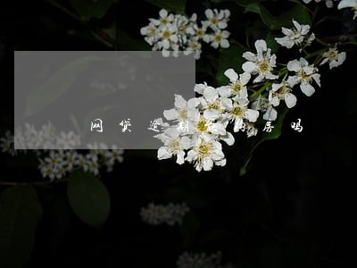 网贷逾期能购房吗 网贷逾期能购房吗