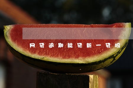 网贷逾期能贷新一贷吗 网贷逾期能贷新一贷吗