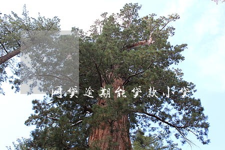 网贷逾期能贷款小贷 网贷逾期能贷款小贷