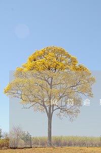 网贷逾期能走流水吗 网贷逾期能走流水吗