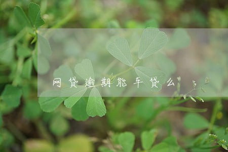 网贷逾期能车贷么 网贷逾期能车贷么