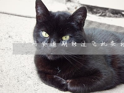 网贷逾期能过飞机安检吗 网贷逾期能过飞机安检吗