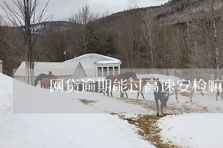 网贷逾期能过高速安检嘛 网贷逾期能过高速安检嘛
