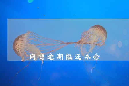 网贷逾期能还本金 网贷逾期能还本金