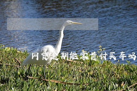 网贷逾期能零首付买车吗 网贷逾期能零首付买车吗