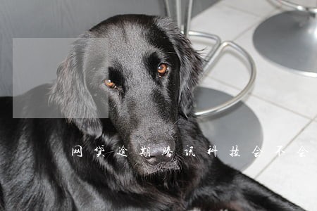 网贷逾期腾讯科技会不会冻结财产 网贷逾期腾讯科技会不会冻结财产