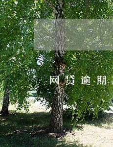 网贷逾期腾讯科技冻结财产短信 网贷逾期腾讯科技冻结财产短信