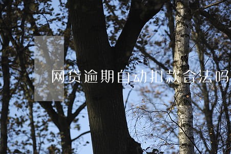 网贷逾期自动扣款合法吗 网贷逾期自动扣款合法吗