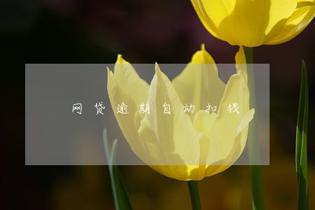 网贷逾期自动扣钱 网贷逾期自动扣钱