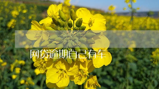 网贷逾期自己有车 网贷逾期自己有车