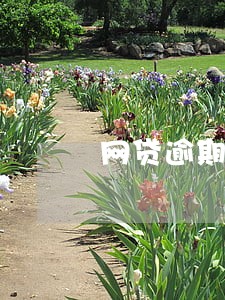 网贷逾期自我救赎 网贷逾期自我救赎