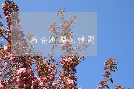 网贷逾期色情图 网贷逾期色情图