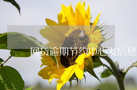 网贷逾期节约中心发信息 网贷逾期节约中心发信息