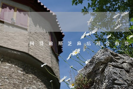 网贷逾期芝麻信用会有负面吗