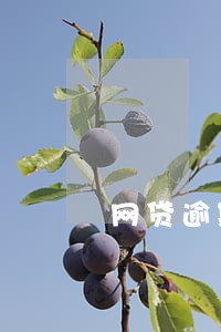 网贷逾期芝麻分会下降吗 网贷逾期芝麻分会下降吗