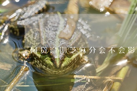 网贷逾期芝麻分会不会影响 网贷逾期芝麻分会不会影响