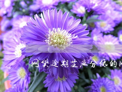 网贷逾期芝麻分低的网贷 网贷逾期芝麻分低的网贷