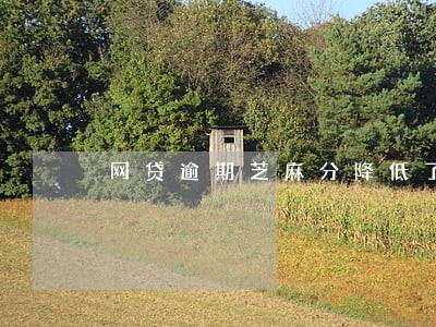 网贷逾期芝麻分降低了怎么办 网贷逾期芝麻分降低了怎么办