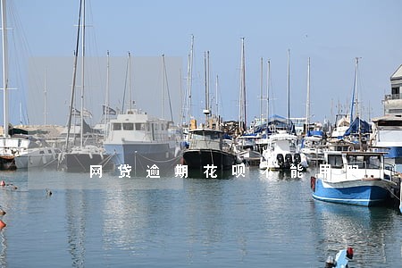 网贷逾期花呗不能用吗