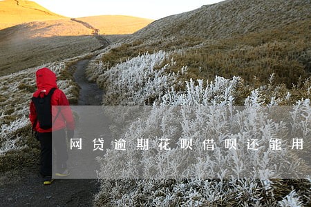 网贷逾期花呗借呗还能用吗 网贷逾期花呗借呗还能用吗