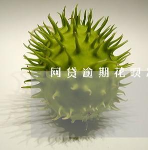 网贷逾期花呗冻结了 网贷逾期花呗冻结了