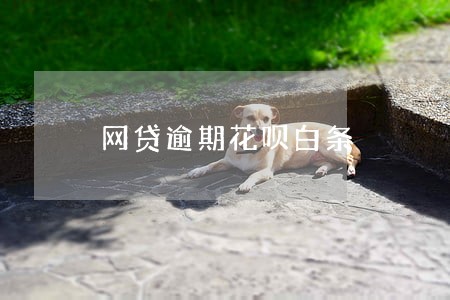 网贷逾期花呗白条 网贷逾期花呗白条