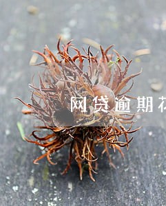 网贷逾期花呗被关闭了 网贷逾期花呗被关闭了
