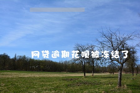 网贷逾期花呗被冻结了