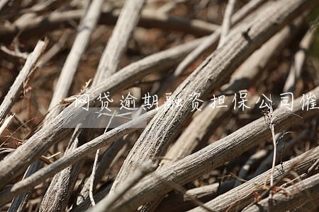 网贷逾期融资担保公司催债 网贷逾期融资担保公司催债
