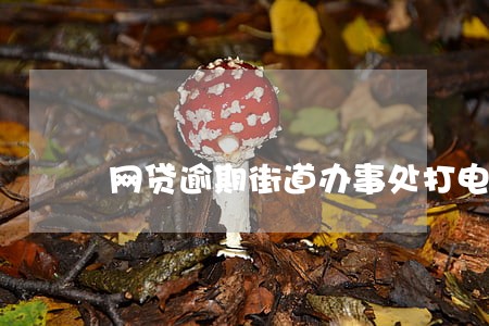 网贷逾期街道办事处打电话